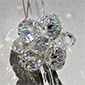 SC0000134
