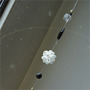 SC0000773